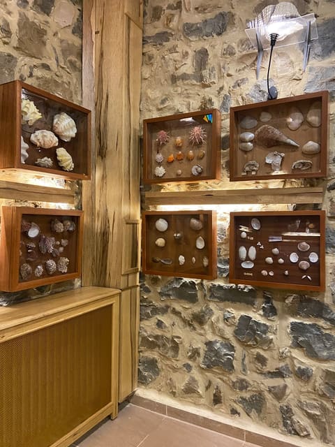 Musée de coquillage — photograph 2