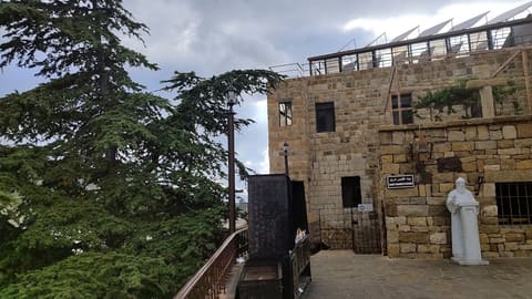 Baal 703 — photograph 4