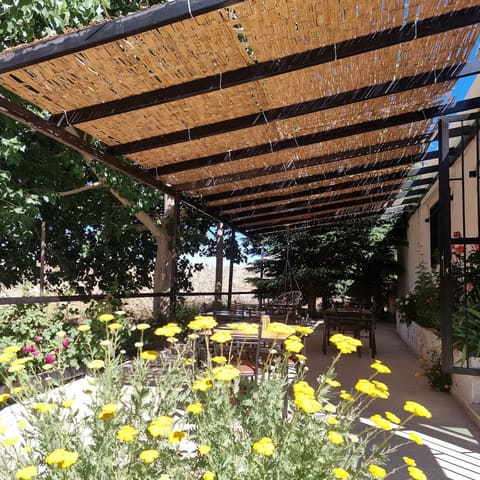 Kedros Cafe — photograph 5