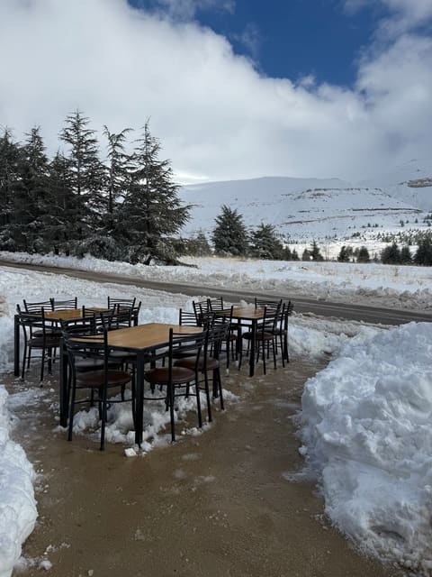 Kedros Cafe — photograph 6
