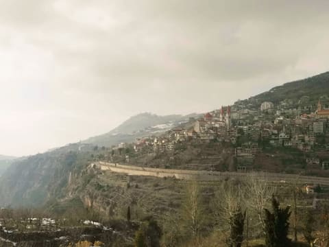 Sabbagh - Restaurant — photograph 6