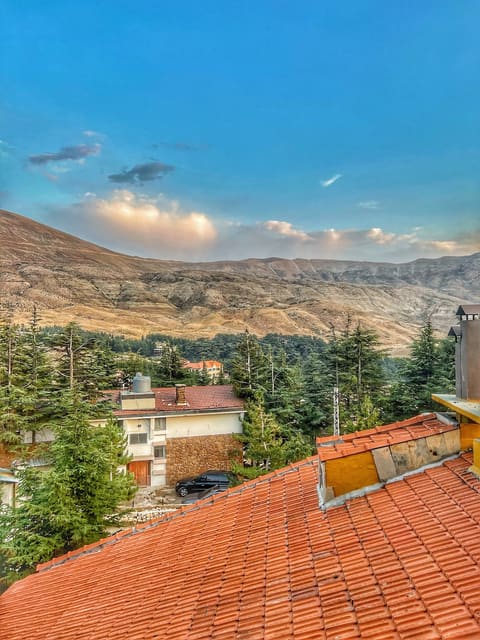 Al arz cedrium — photograph 5