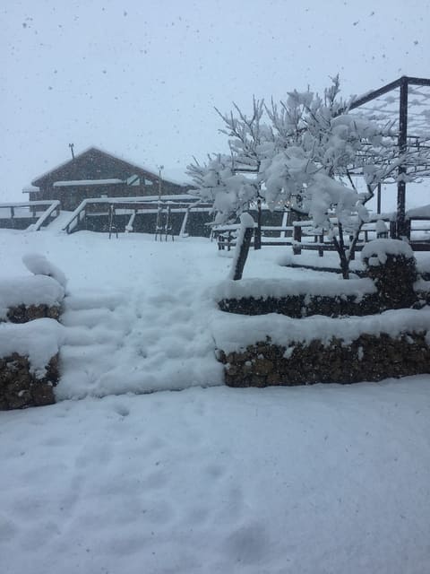 La Grande Ourse — photograph 6