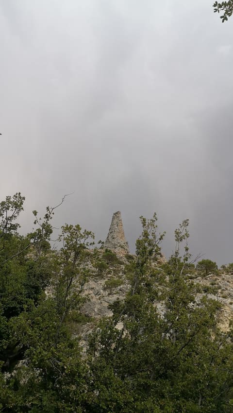 La Sainte Lourde — photograph 5