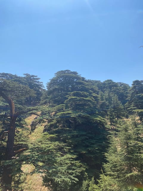 Saydet El Arz — photograph 2