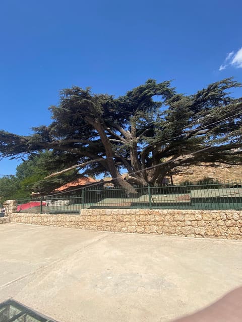 Saydet El Arz — photograph 3