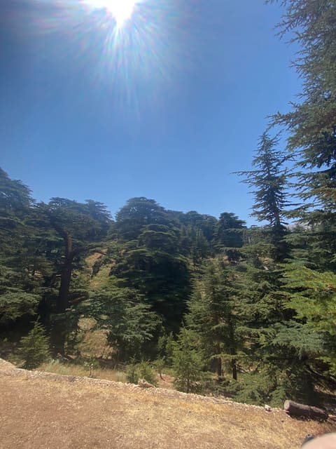 Saydet El Arz — photograph 4