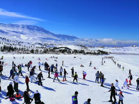 Half-Half SkiResort — photograph 2