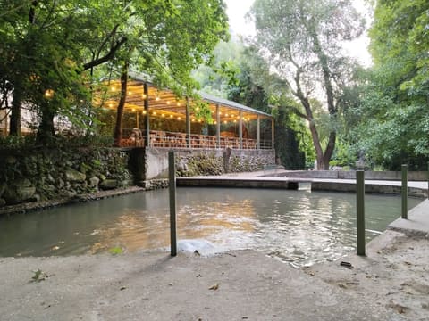The Green Land Restaurant — photograph 5