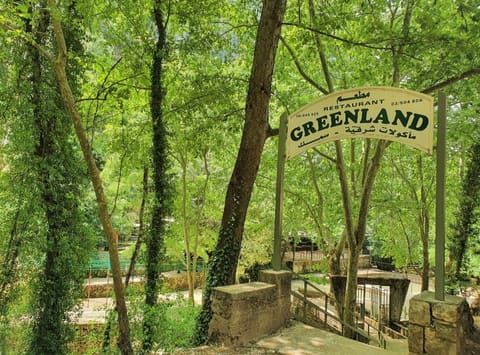 The Green Land Restaurant — photograph 6