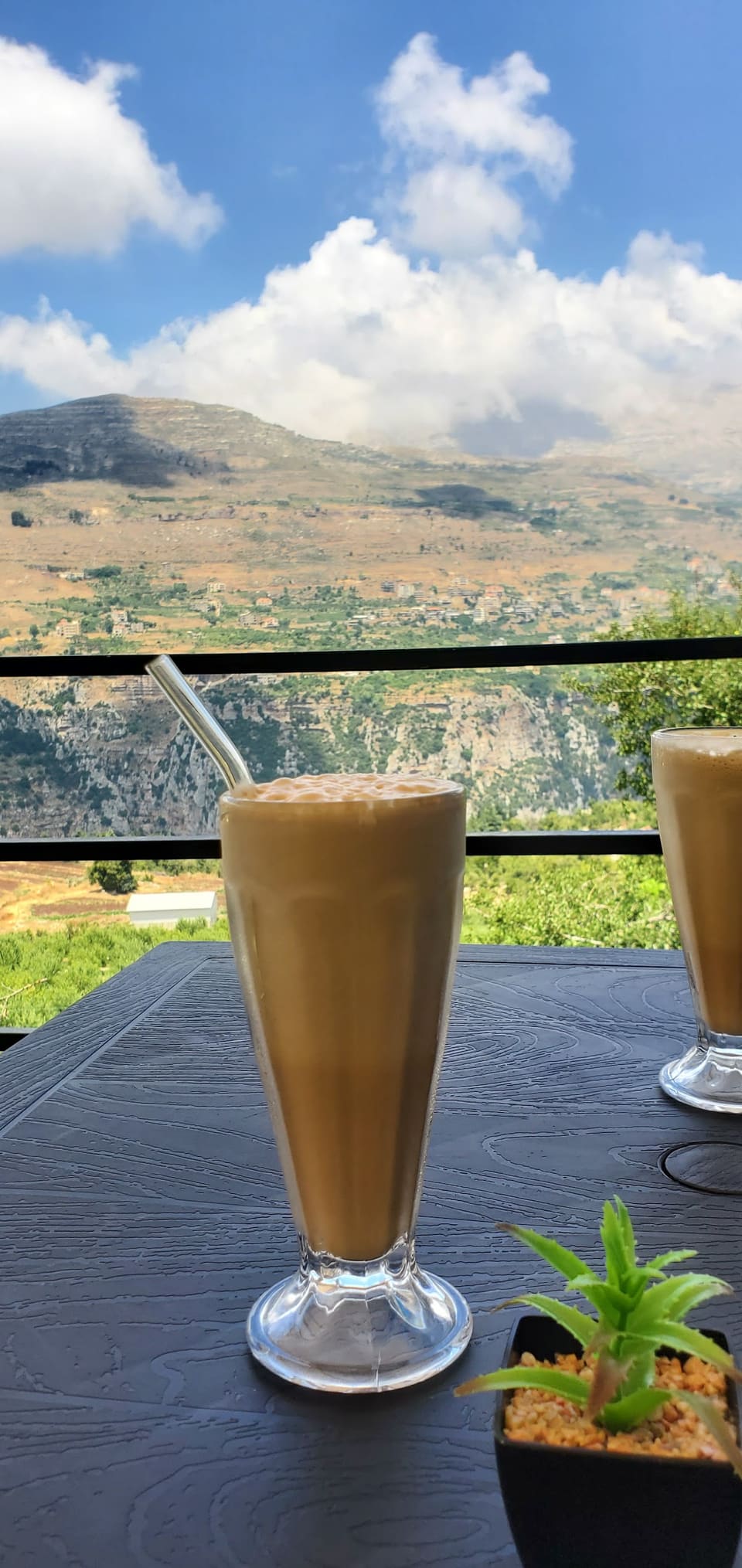 Skyview Café