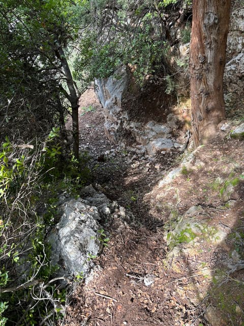 Magharat Al Baqar — photograph 3