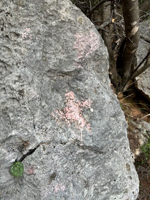 Mseel El Qaq — photograph 2