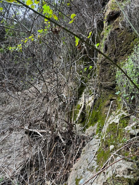 Mseel El Qaq — photograph 4