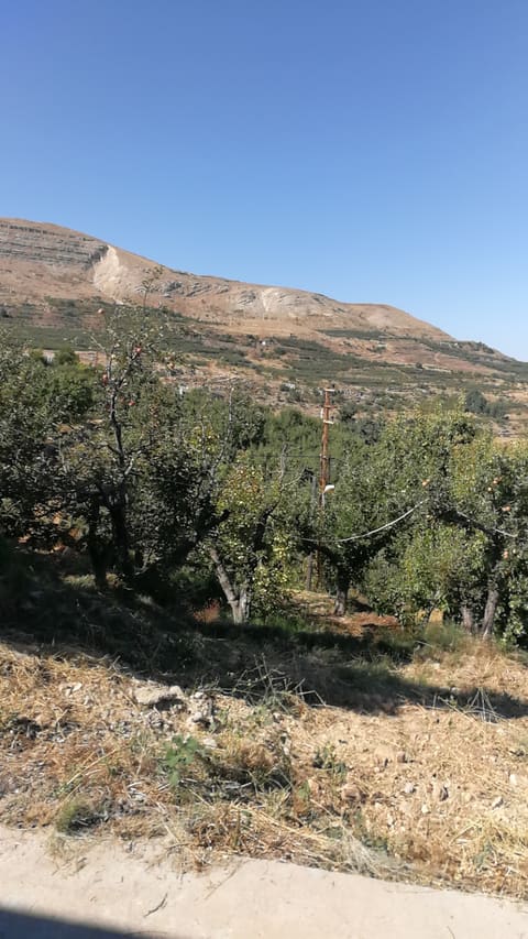 Our Lady of Bkoufa (Saydet Bkoufa) — photograph 2