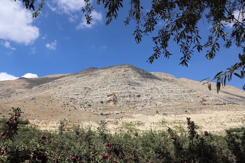Our Lady of Bkoufa (Saydet Bkoufa) — photograph 4