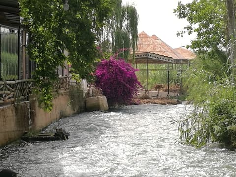 Massaya Zaman Restaurant — photograph 3