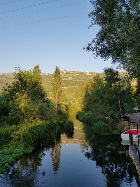 Chez Hani — photograph 4