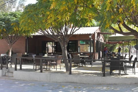 Aleco's Cafe - Resto — photograph 3