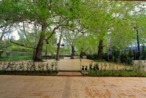Almerdeshiyeh - Soutou — photograph 4