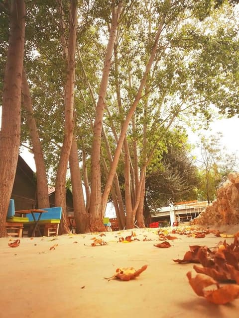 Nas cafe — photograph 2