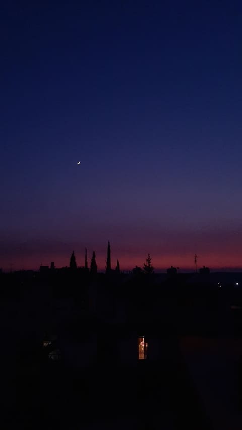 The Rooftop — photograph 2