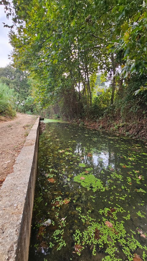 El Shrindi River Haref Ardeh — photograph 3