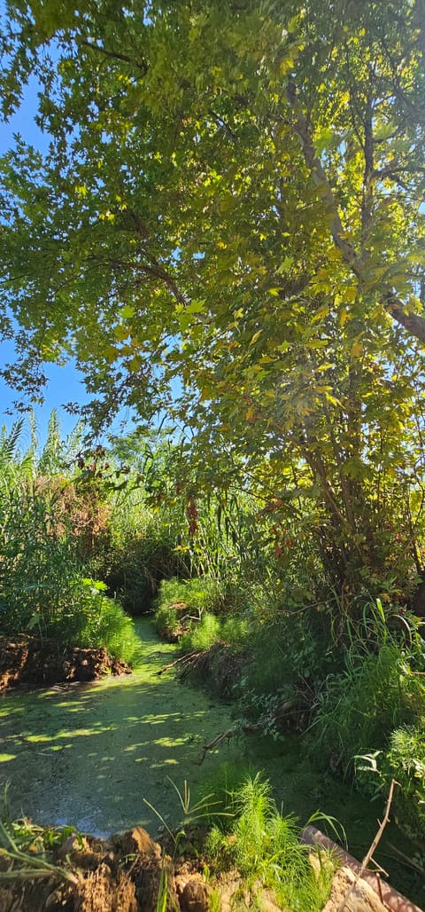 El Shrindi River Haref Ardeh — photograph 4