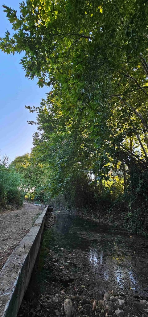El Shrindi River Haref Ardeh — photograph 5