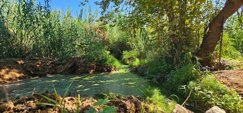 El Shrindi River Haref Ardeh — photograph 6