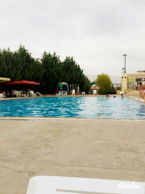 Diana Land — photograph 3