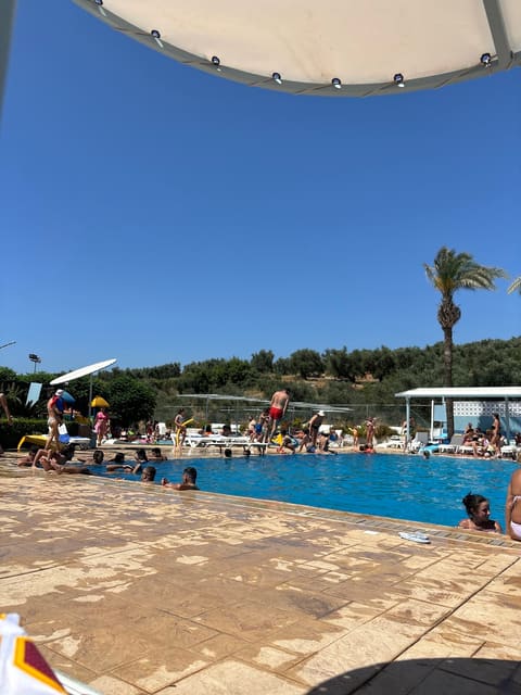 Oriba Pool and Bar — photograph 3