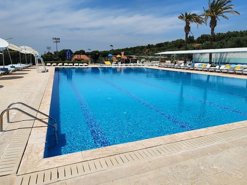 Oriba Pool and Bar — photograph 4