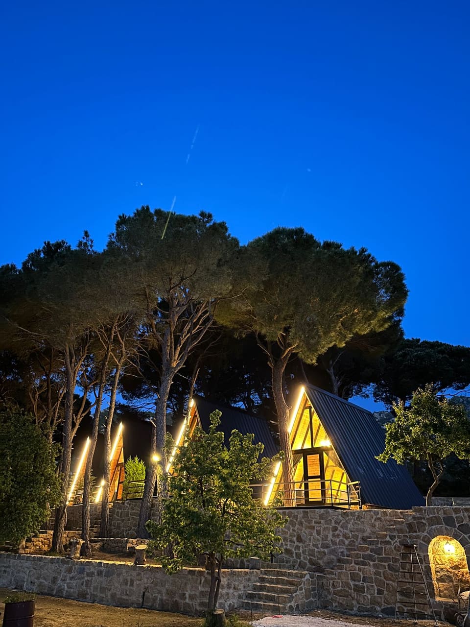 Pine Straw Douma