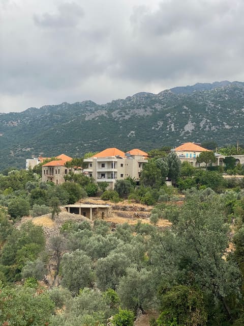 Chalhoub Restaurant — photograph 3