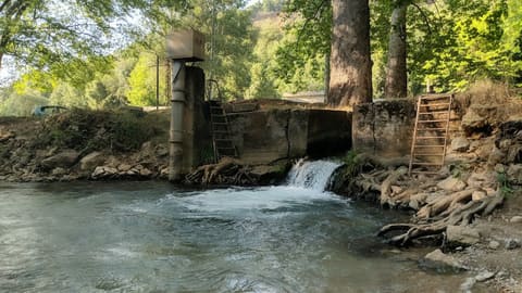 Ghabet al joz — photograph 2