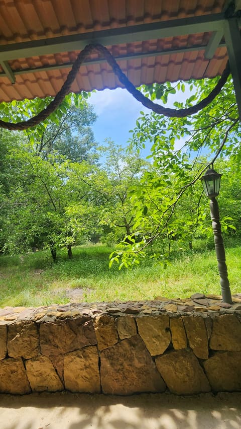 Ghabet al joz — photograph 3