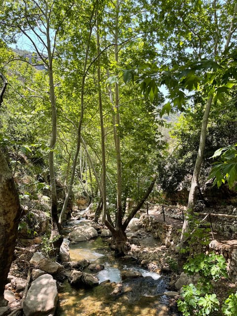 Nahr el Jawz - kfarhelda tannourine hiking trail — photograph 4