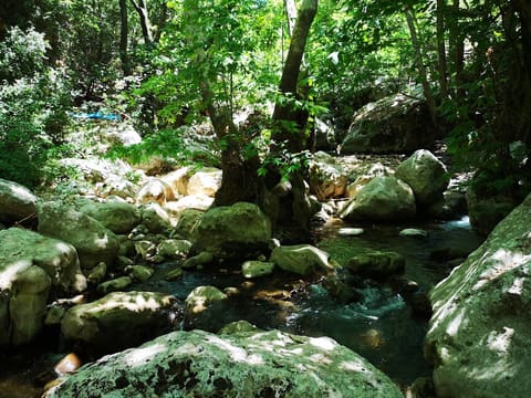 Nahr el Jawz - kfarhelda tannourine hiking trail — photograph 5
