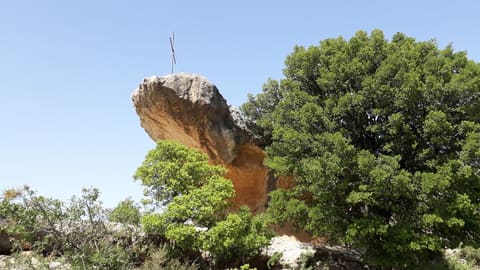 Bchaaleh Trails Association — photograph 2