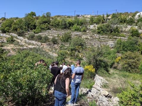 Bchaaleh Trails Association — photograph 3
