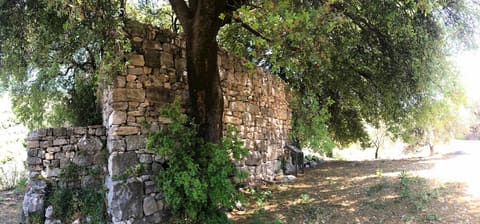 Bchaaleh Trails Association — photograph 5