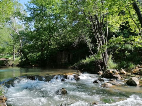 Kfarhelda - Tannourine hiking trail — photograph 2
