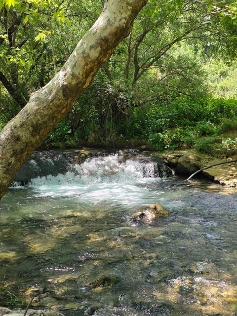 Kfarhelda - Tannourine hiking trail — photograph 6