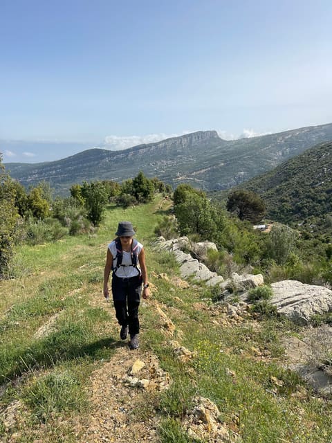 Douma Side Trail — photograph 5