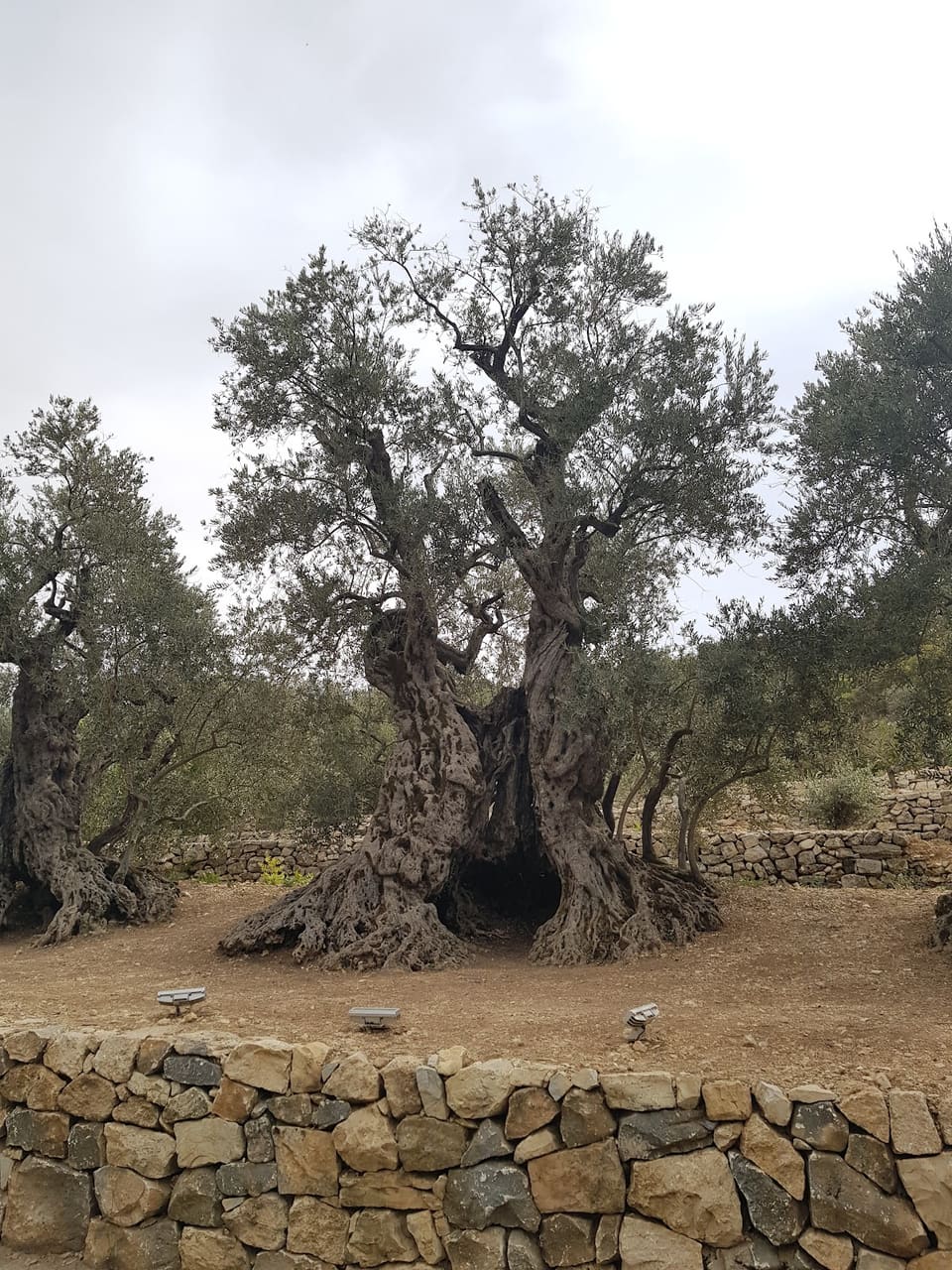 Bchaaleh