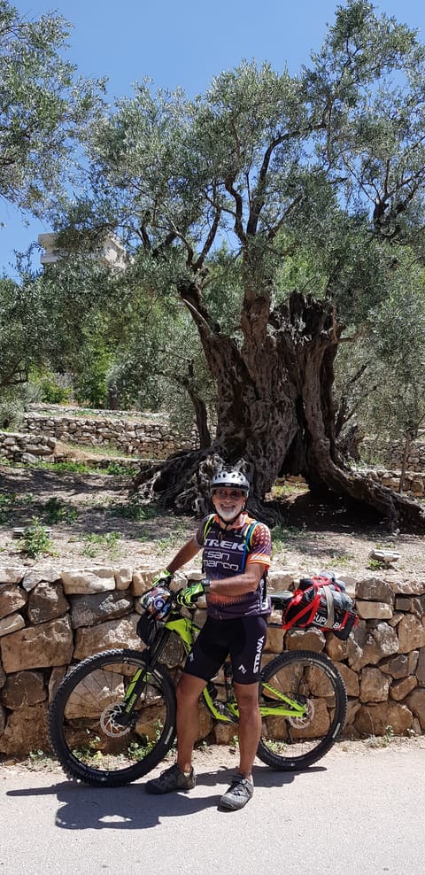 Noah’s Olive Trees — photograph 6