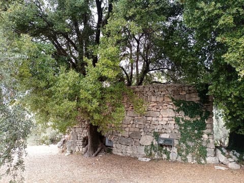 St Mema Church — photograph 5