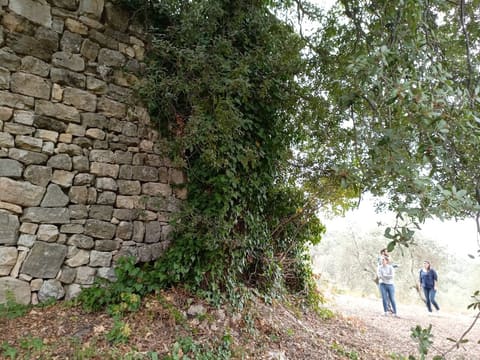 St Mema Church — photograph 6