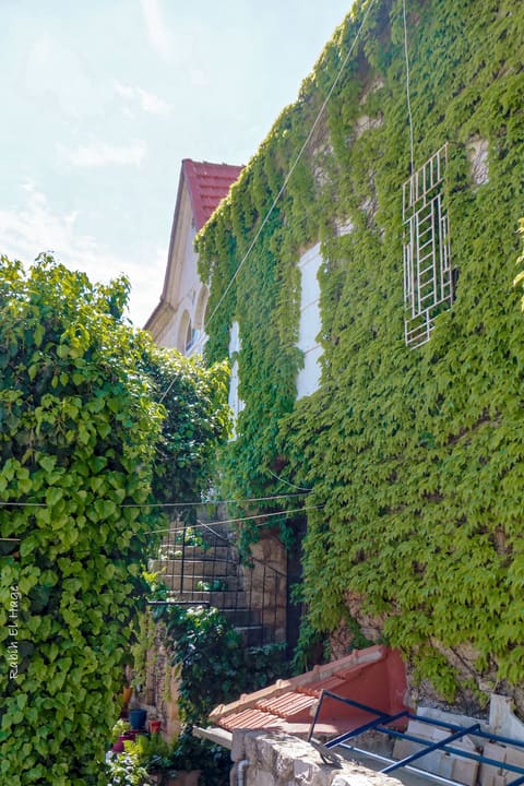 The Kheir Residence The Green House — photograph 4